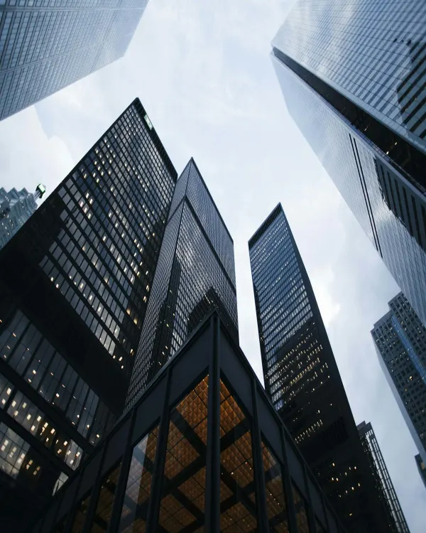 Instituições, associações e organizações